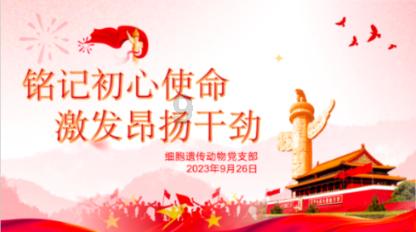 小猫钓鱼游戏龙王版有船